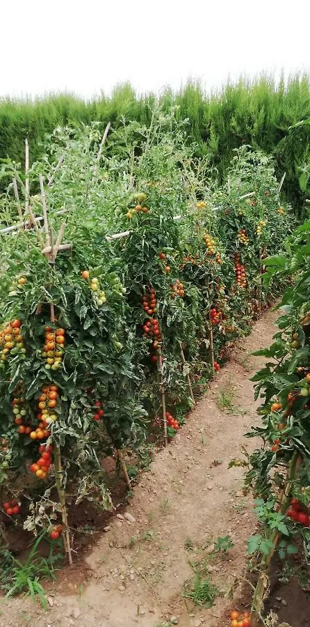Alojamento de Acomodação e Pequeno-almoço Somnis de l´Empordà Acomodação com café da manhã Vilacolum